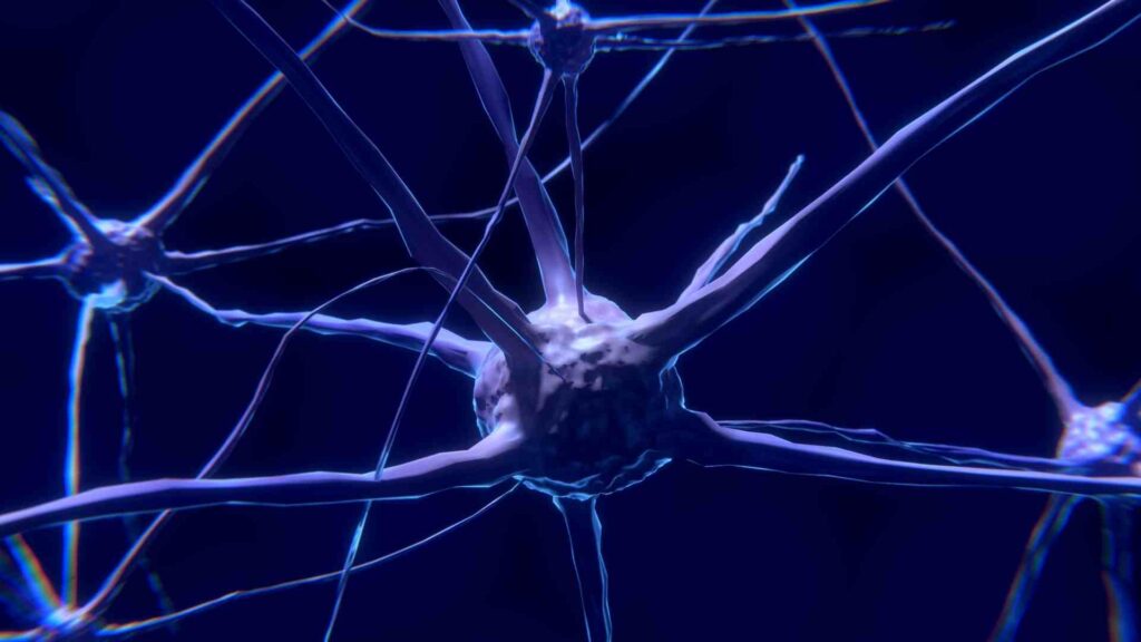 Example of a neurone being stimulated through neurostimulation