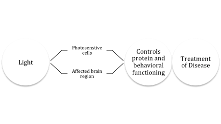 Hypothetical Model of Obsessions and Compulsions via Light Therapy